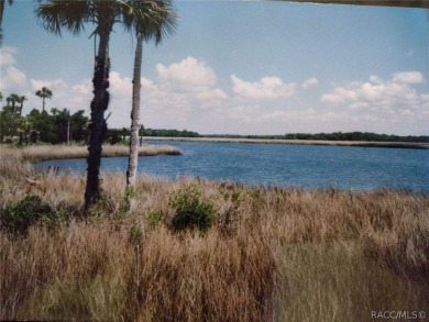 Beach Lot For Sale in Crystal River, Florida