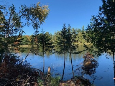 Beach Acreage Sale Pending in Alpena, Michigan