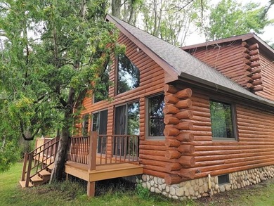 Beach Home For Sale in Ossineke, Michigan