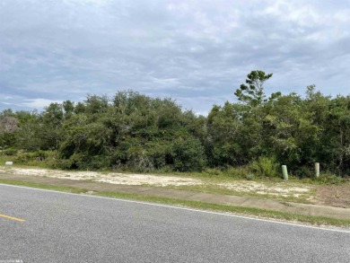 Beach Lot Off Market in Orange Beach, Alabama