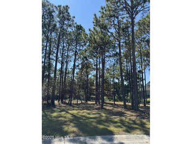 Beach Lot For Sale in Ocean Isle Beach, North Carolina