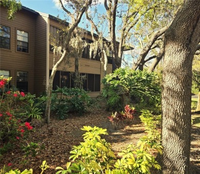 Beach Condo For Sale in Palm Harbor, Florida