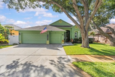 Beach Home For Sale in Tarpon Springs, Florida