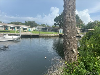 Beach Lot For Sale in Crystal River, Florida