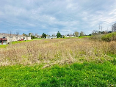 Beach Lot For Sale in Clayton, New York