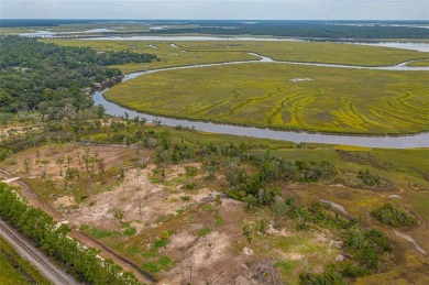 Beach Acreage Off Market in Brunswick, Georgia