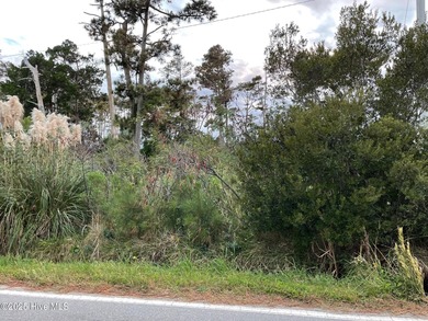 Beach Lot For Sale in Cedar Island, North Carolina