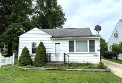 Beach Home For Sale in Eastlake, Ohio