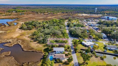 Beach Lot Sale Pending in Hernando Beach, Florida