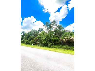 Beach Lot For Sale in Port Charlotte, Florida