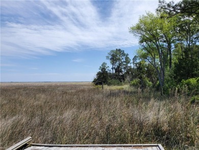 Beach Acreage For Sale in Brunswick, Georgia