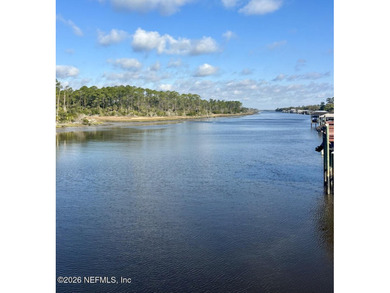 Beach Lot For Sale in Ponte Vedra Beach, Florida