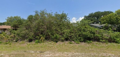 Beach Lot Sale Pending in Englewood, Florida