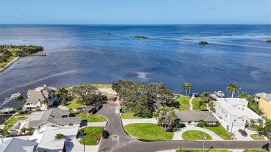 Beach Lot For Sale in Palm Harbor, Florida