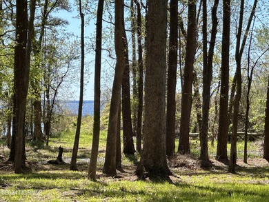 Beach Lot For Sale in Bath, North Carolina