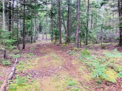 Beach Acreage Off Market in Saint George, Maine