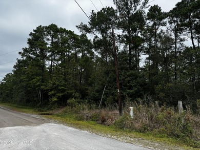 Beach Lot For Sale in Southport, North Carolina