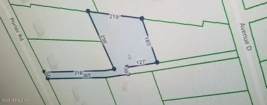 Beach Lot For Sale in St Augustine, Florida