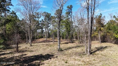 Beach Acreage For Sale in Beaufort, North Carolina