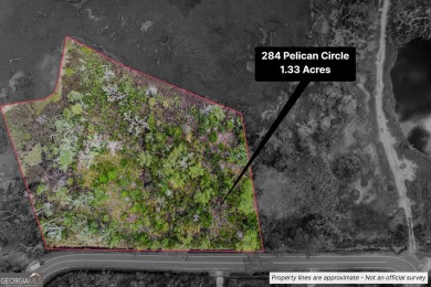 Beach Lot Sale Pending in Woodbine, Georgia