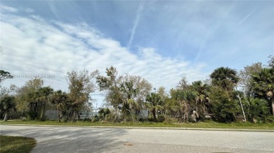 Beach Lot For Sale in Port Charlotte, Florida