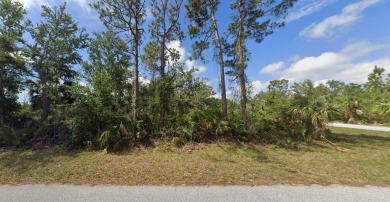 Beach Lot For Sale in Port Charlotte, Florida