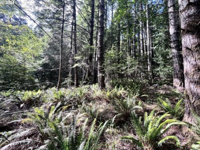 Beach Acreage For Sale in Sixes, Oregon