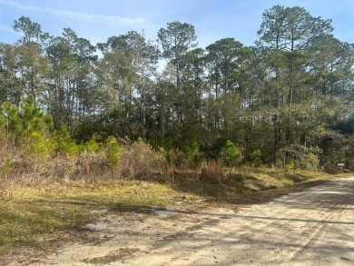 Beach Lot For Sale in Bay Saint Louis, Mississippi