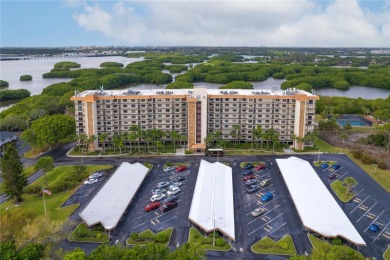 Beach Condo For Sale in St. Petersburg, Florida