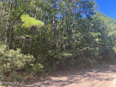 Beach Lot For Sale in Supply, North Carolina