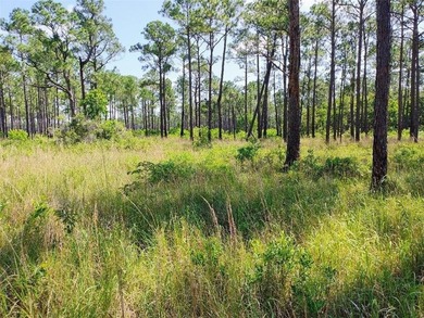 Beach Acreage For Sale in Coden, Alabama