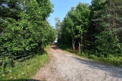 Beach Acreage For Sale in Alanson, Michigan