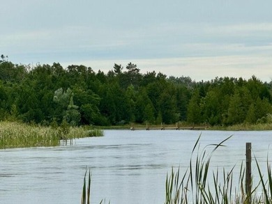 Beach Lot For Sale in Cheboygan, Michigan