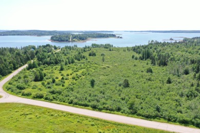 Beach Acreage Off Market in Perry, Maine