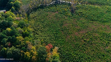 Beach Acreage Sale Pending in Hertford, North Carolina