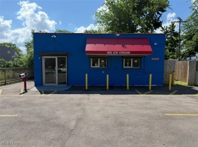 Beach Commercial For Sale in Cleveland, Ohio