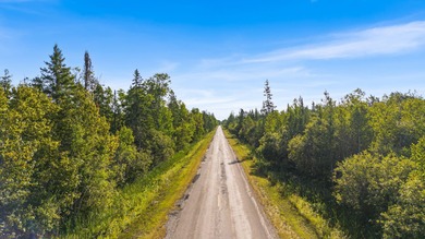Beach Acreage For Sale in Carp Lake, Michigan