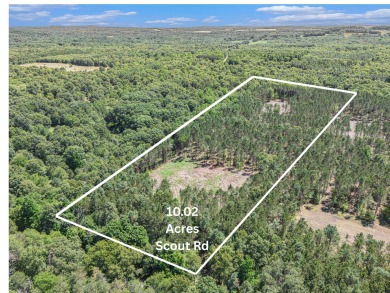 Beach Acreage Active Under Contract in Mears, Michigan