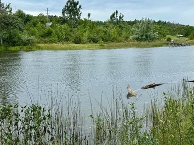 Beach Acreage For Sale in Cheboygan, Michigan