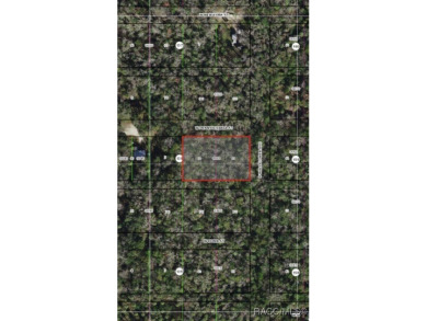 Beach Lot For Sale in Homosassa, Florida