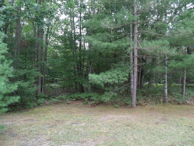 Beach Acreage For Sale in Cheboygan, Michigan