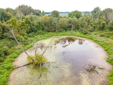 Beach Lot Off Market in Fennville, Michigan