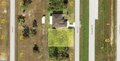 Beach Lot For Sale in Placida, Florida