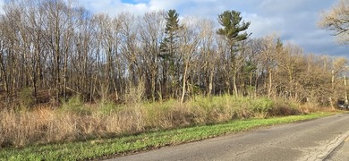 Beach Lot For Sale in Gary, Indiana