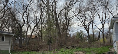 Beach Lot For Sale in Gary, Indiana