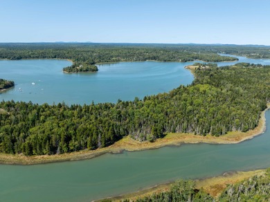 Beach Acreage For Sale in Jonesboro, Maine