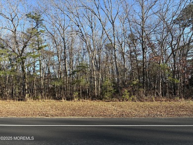 Beach Lot For Sale in Barnegat, New Jersey