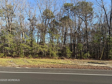 Beach Lot For Sale in Barnegat, New Jersey