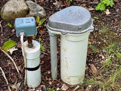 Beach Acreage For Sale in Cheboygan, Michigan