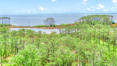 Beach Acreage For Sale in Oriental, North Carolina